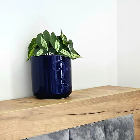 Blue Studio, Modern & Beachfront - By Beta Premium * 골렘