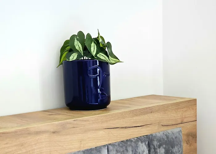 Blue Studio, Modern & Beachfront - By Beta Premium * Golem